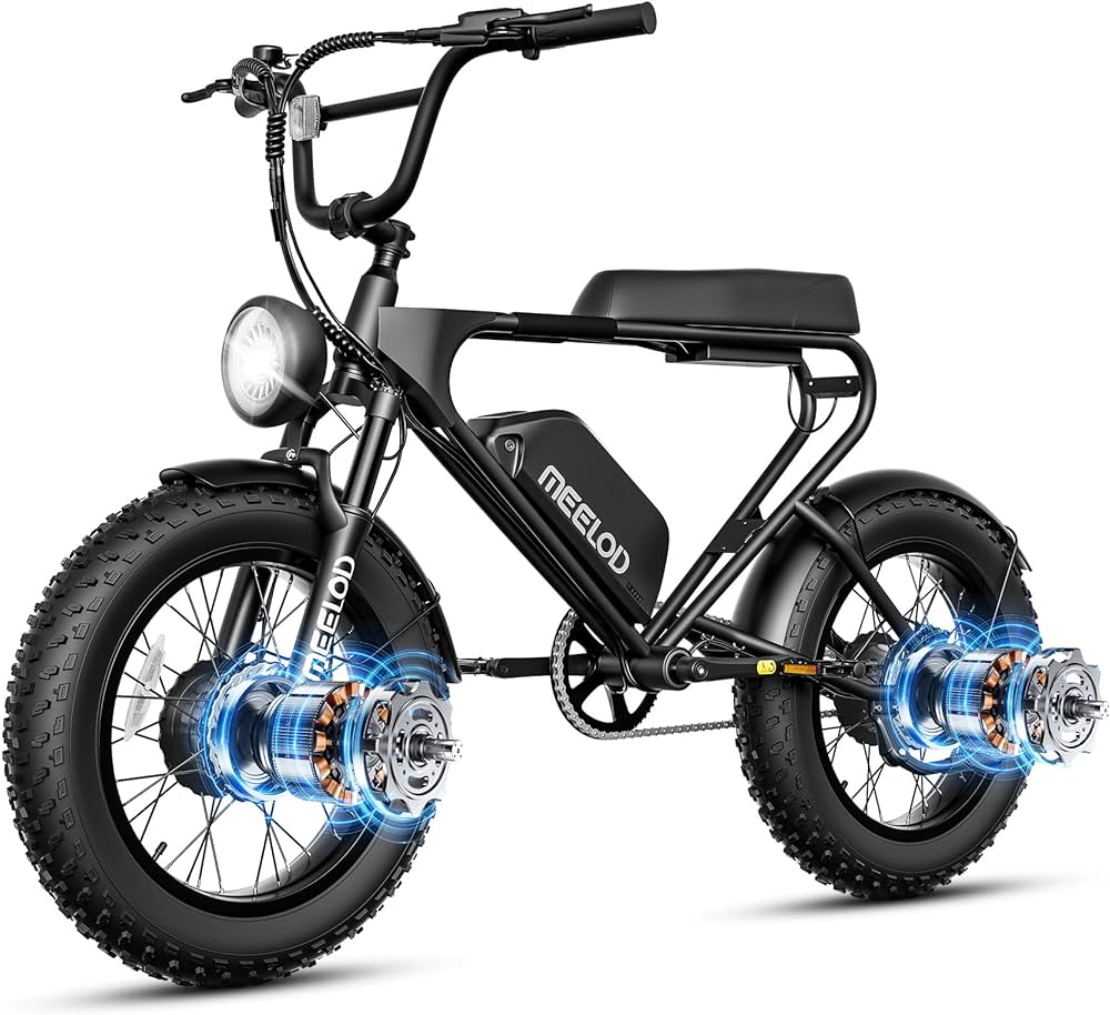 Dual Motor Electric Bike 